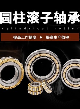 WBZ 圆柱滚子电机振动筛轴承NU NJ NUP2309 2310 2311EMC3 C4