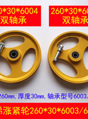 永河北东方 通力 蒂电梯涨紧轮 大限速器涨紧装置 260*30*6003