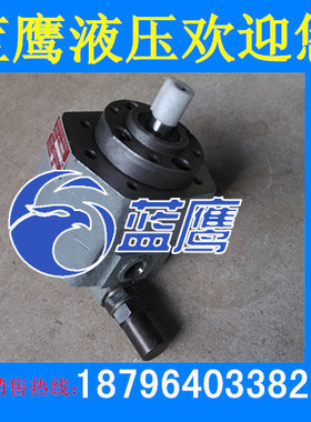 BB-B4Y BB-B6Y BB-B10Y摆线齿轮油泵带安全调压力阀转子润滑泵YR