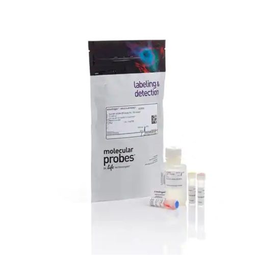 赛默飞 Invitrogen Qubit RNA High检测试剂盒 Q32850