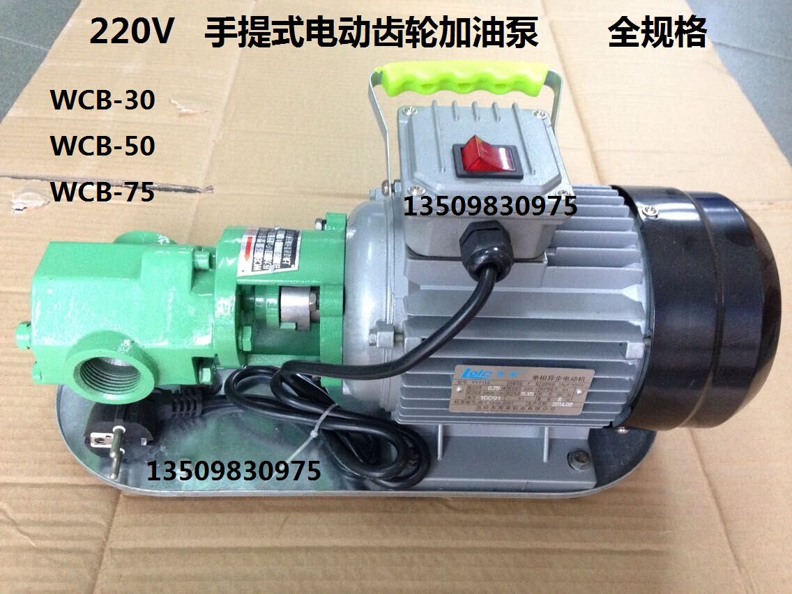 自吸式手提式齿轮泵 输油泵机油泵WCB-75-50-30 电动柴油抽油泵