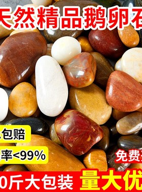 200斤鹅卵石铺地五彩石头户外庭院雨花石鱼缸造景白色黑色石