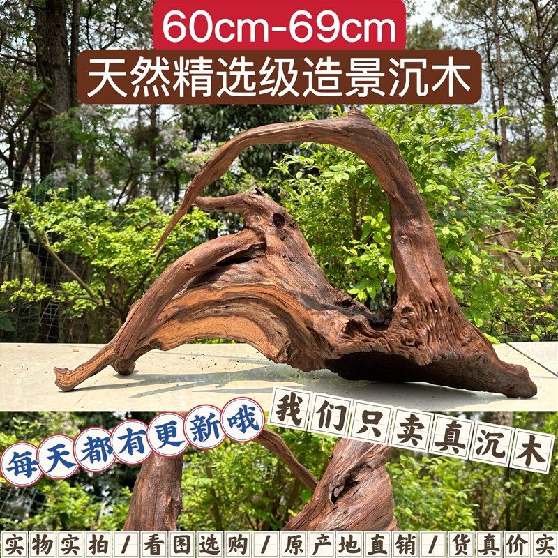 60cm-69cm水族鱼缸精品沉木紫柚木秒沉水拱桥南美多枝镂空摆件