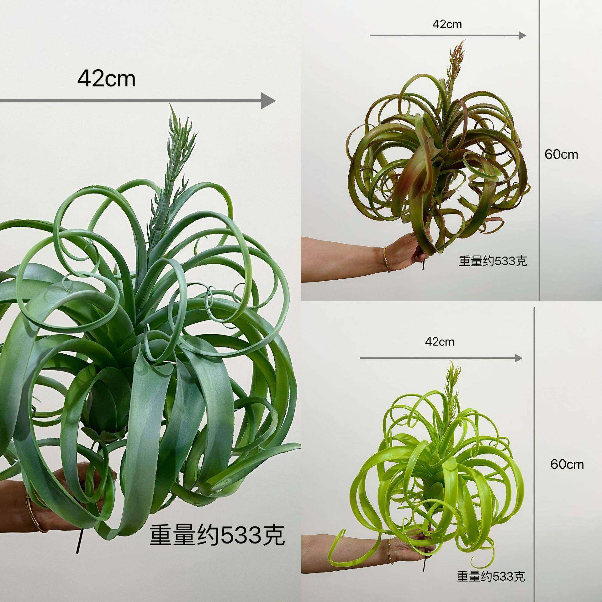 含阳 仿真假沙漠多肉植物特大霸王空气草 凤梨 仿真植物 装饰