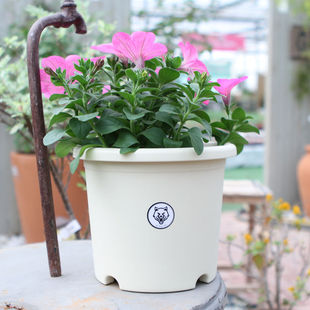 创意塑料树脂加厚大花盆 绿萝多肉个性 四季 花盆deepot加仑花盆月季