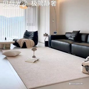 客厅地毯沙发免洗可擦威尔顿机织羊毛防水轻奢高级感地垫 2024新款