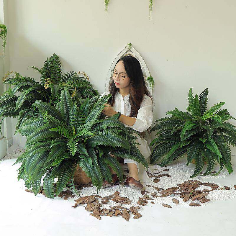 仿真绿植波斯草蕨类植物室内装饰假植物叶子假花景观草地假树造景