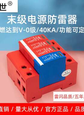 顶世浪涌保护器家用4P40KA末级电源防雷器电涌保护器避雷器