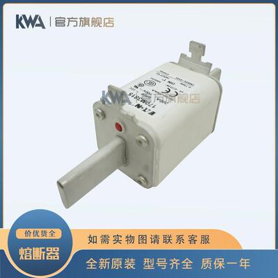 快速熔断器保险丝170M3814 3815 3816 3817 3818 3819陶瓷保险丝