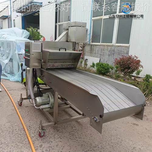 浆紫薯卷QZM上裹糠机 全自动鸡排裹面包糠备 小酥设鱼裹不锈钢糠