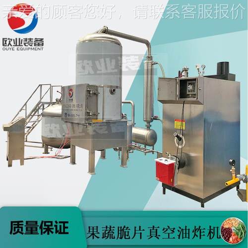 果蔬真空油设OYVF-100炸机加工设备上海鱼仔食备油机生零产厂炸家