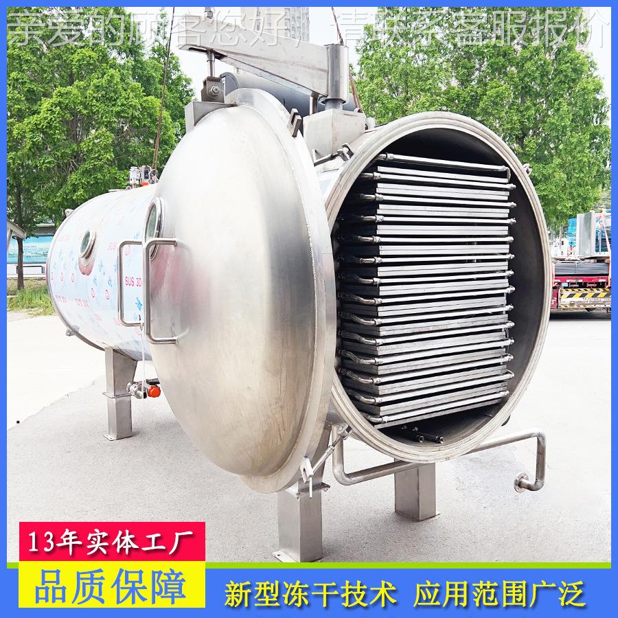 青皮芒真HSDG-1包空冻干果 果蔬机药材大型真空装机 全自动冻干机