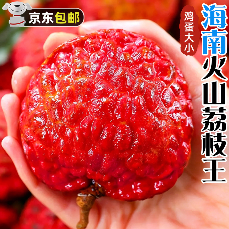 正宗海南荔枝王当季新鲜水果包邮整箱巨霸超大鲜果火山口现摘应季