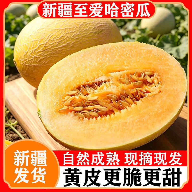 新疆正宗至爱哈密瓜当季新鲜水果脆甜爽口黄皮蜜瓜甜瓜整箱包邮