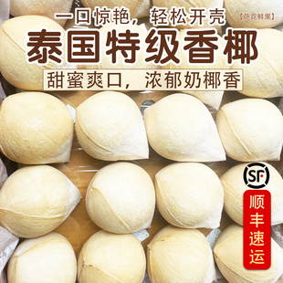 泰国进口牛奶椰皇丹嫩沙多香水椰煲鸡汤老椰子孕妇新鲜水果包邮