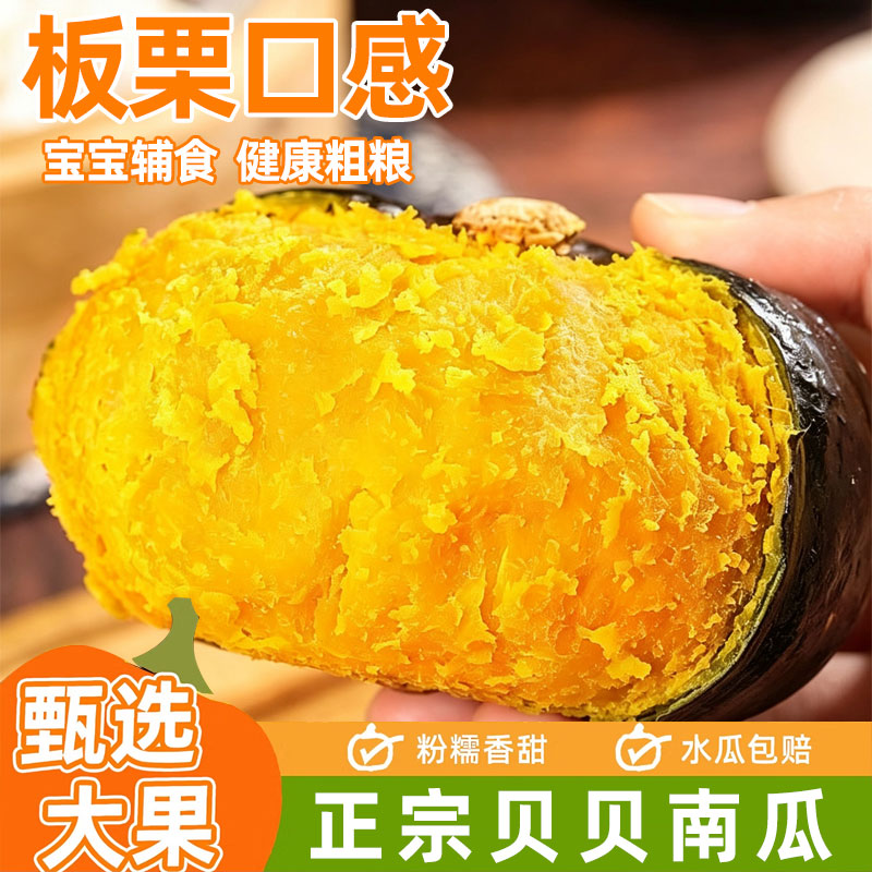 贝贝南瓜正宗板栗味粉糯香甜宝宝辅食新鲜蔬菜时令生鲜早餐整箱