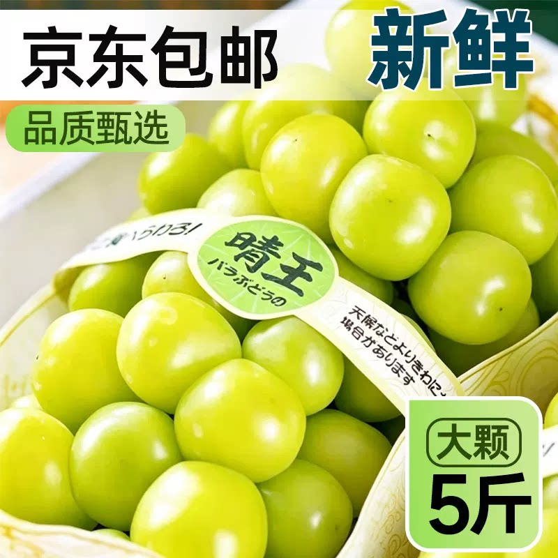 阳光玫瑰青提葡萄整串大颗香甜多汁新鲜应季水果京东包邮非顺丰