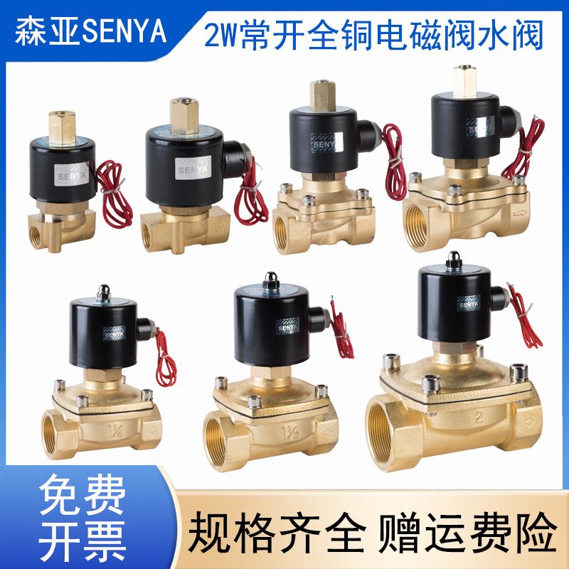 森亚SENYA常开电磁阀DN15DN25DN40塑封不发热AC220VDC24VDC12V DN