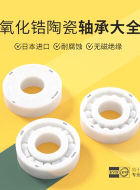 EVB进口全陶瓷轴承大全6200 6201 6202 6203 6204 6205 6206-6210