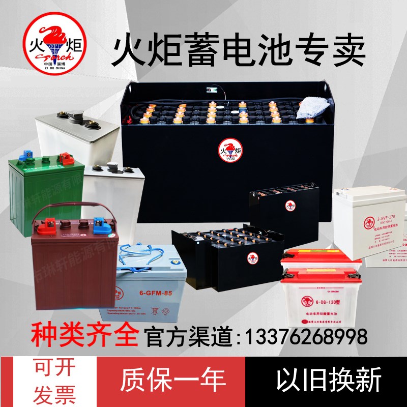 火炬电动叉车电瓶堆高垛升降电动观光车6/12V铅酸蓄电池组免维护