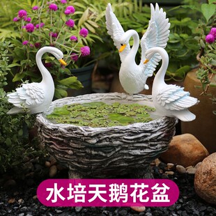 铜钱草花盆大号水培水养绿萝碗莲水仙花庭院阳台家用别墅花园布置