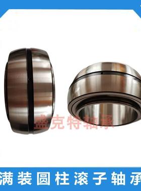 双列密封满装圆柱滚子轴承SL182110 183010 185010 183012 185012