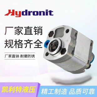 E60603002 E60603001 意大利Hydronit齿轮泵E60603003 E60603035