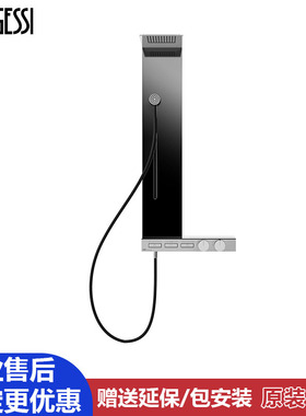 意大利进口gessi捷仕入墙式花洒淋浴头顶两出水局部铜花洒 63041