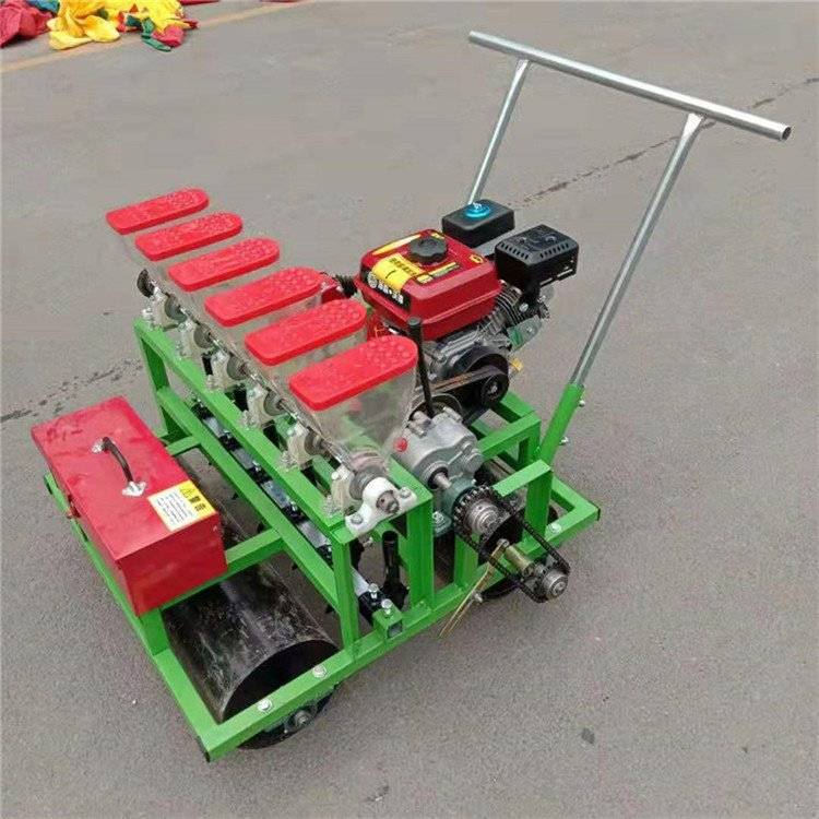 香菜胡萝卜免间苗多行精播机 手推蔬菜播种机 汽油蔬菜播种机