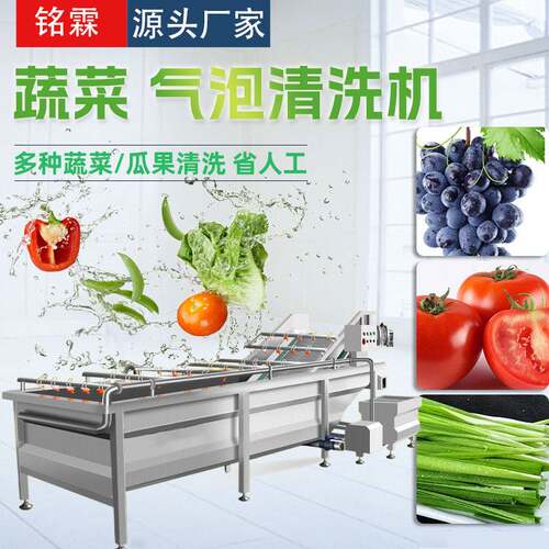 全自动葡萄草莓气泡清洗机 不锈钢西红柿清洗机 韭菜清洗流水线