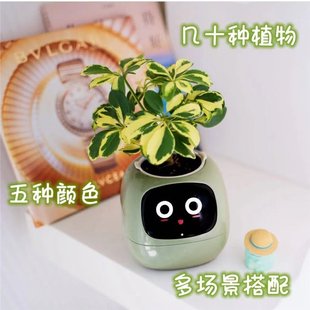 桌寵小花盆 智能懶人自吸水花盆智能種植Ai花盆多種表情USB充電式