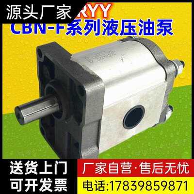 齿轮泵 液压油泵CBN-F310 F314 F306 F320 F325 F316TRYY液压厂家