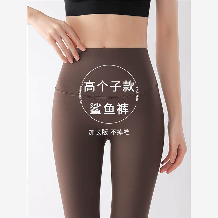 英国下一个吻鲨鱼裤女式