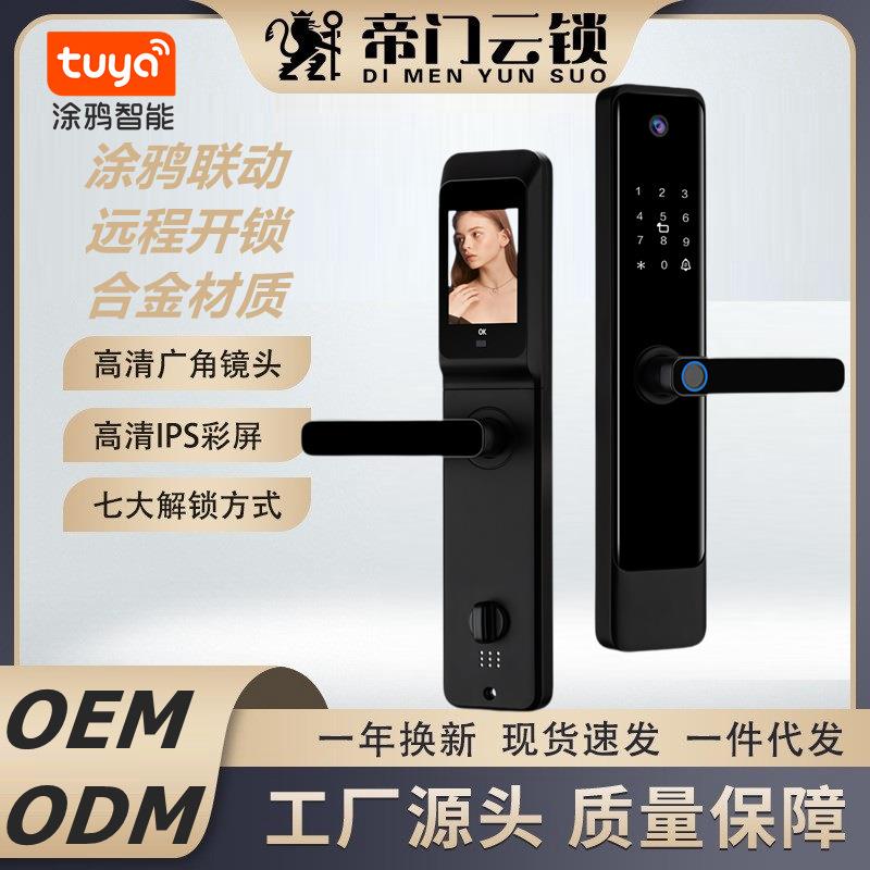 外贸涂鸦猫眼可视电子密码锁半自动防盗门智能门锁一握开指纹锁