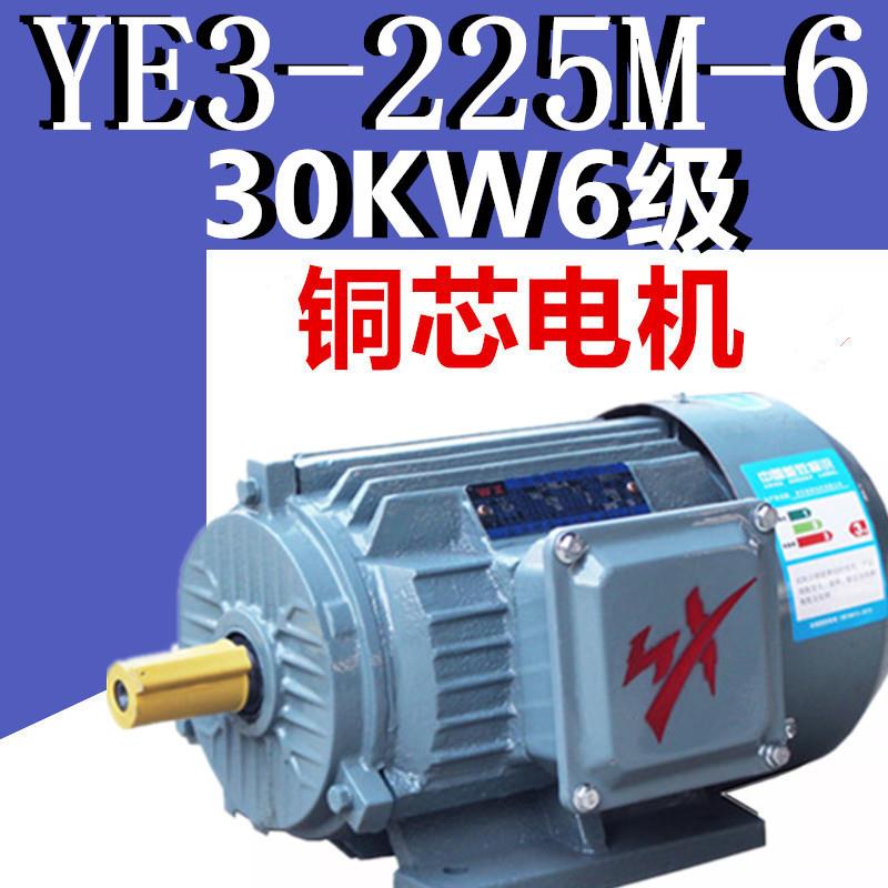YE3-225M-6极三相异步电动机30W6级电机千瓦国标铜380V二级YX3E2