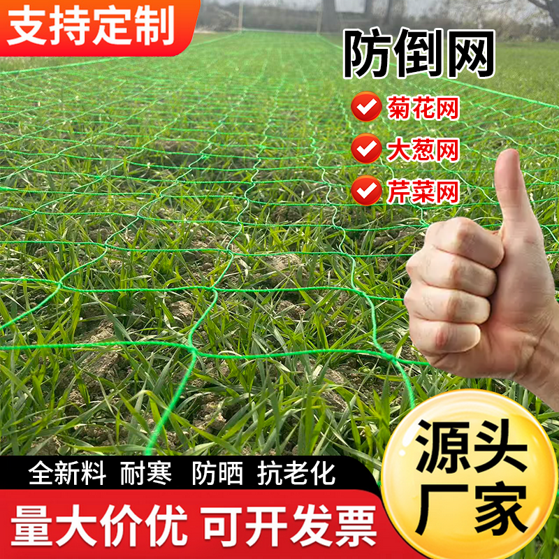 菊花网防倒网大葱芹菜网爬藤网