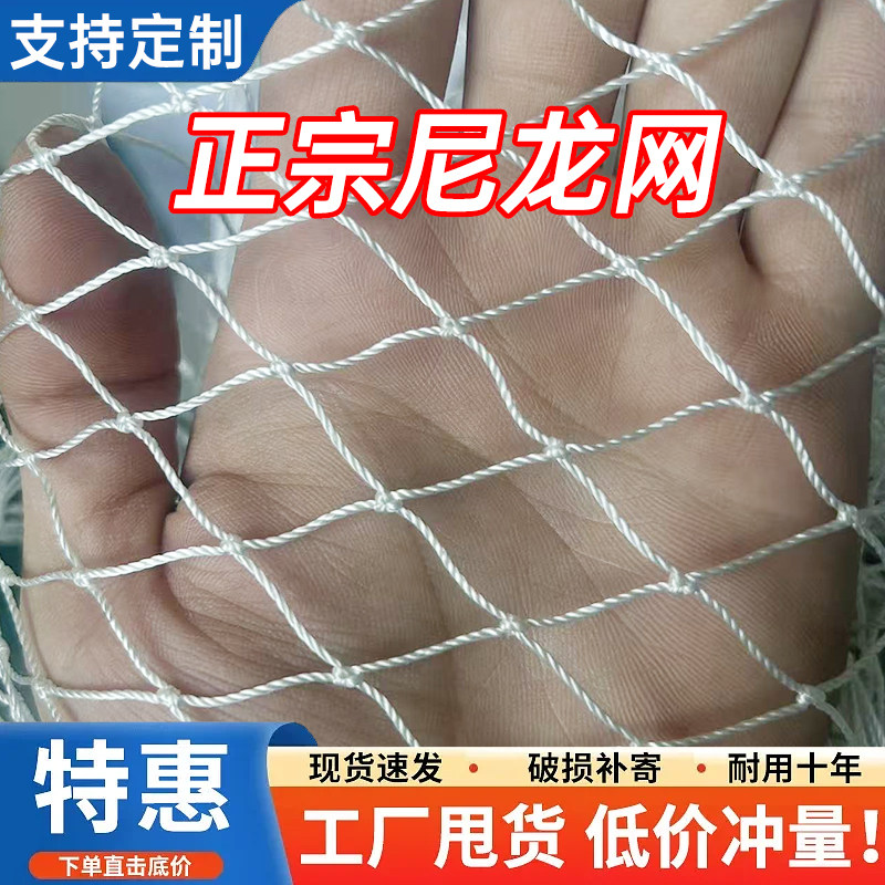 白色防鸟网果树大棚樱桃葡萄梨树果园防鸟用网尼龙养殖网鱼塘天网