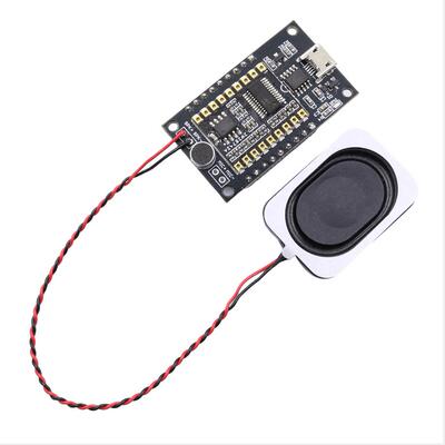 ASRPRO语音识别模块AI离线语音开发板天问学习模块 串口一键下载