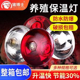 猪博士猪用保温灯养殖场专用防水爆兽用取暖加热灯泡烤灯猪圈设备