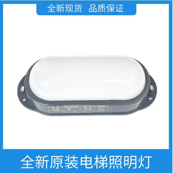适用于通力电梯底坑 井道 轿顶 照明灯应急灯SALF-DZ8W/DZ12W原装