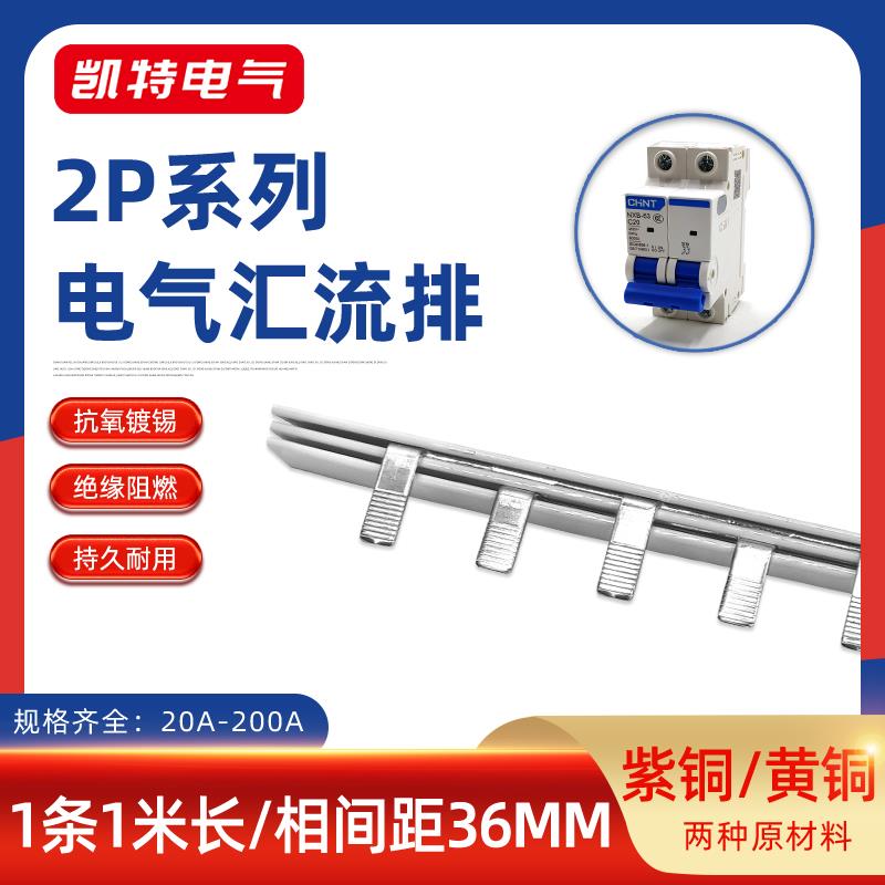 2P20A-200A汇流排紫铜黄铜32/40/63A空开连接排断路器100A接线排
