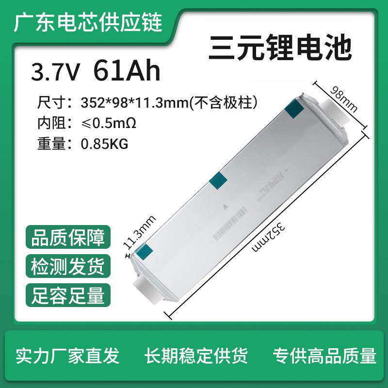 全新E61/E66/E71/E72/E78聚合物软包动力电芯三元电动车电池组