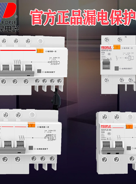 DZLE漏电保护器断路器LE家用总关电闸短路过欠压保护