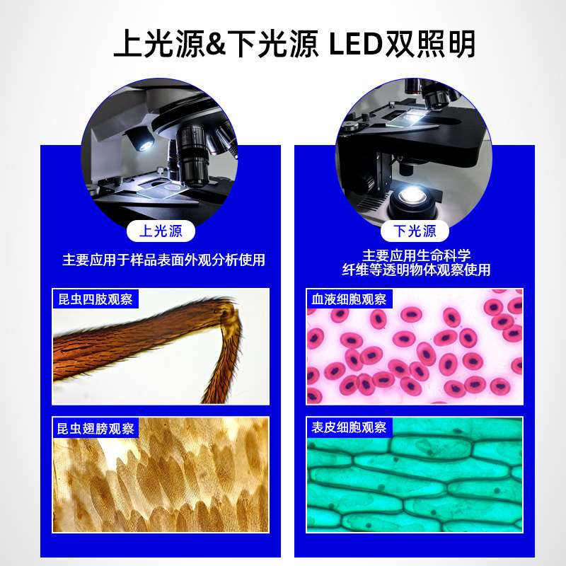 迈时迪双目液晶数码显微镜中小学生专用初中生实验室专用专业看细