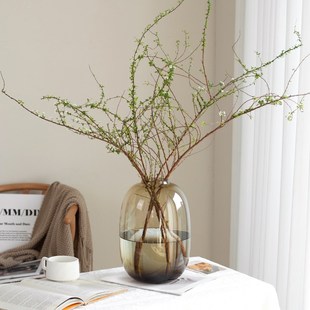 花瓶轻奢高级感大肚玻璃透明客厅雪柳干枝水养插花瓶餐桌装饰摆件