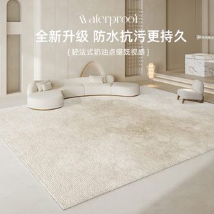 轻奢高级感家用沙发地垫卧室免洗可擦奶油风垫子 地毯客厅2024新款