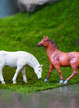 微景观仿真小白马摆件假山盆景沙盘道具造景装饰桌面树脂骏马摆设