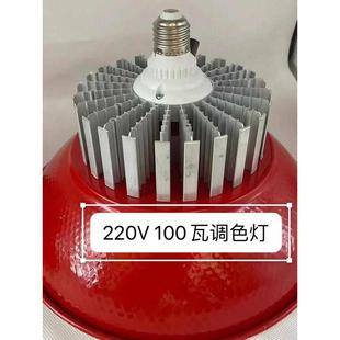 22060瓦水果混色灯透明罩Rgb灯珠