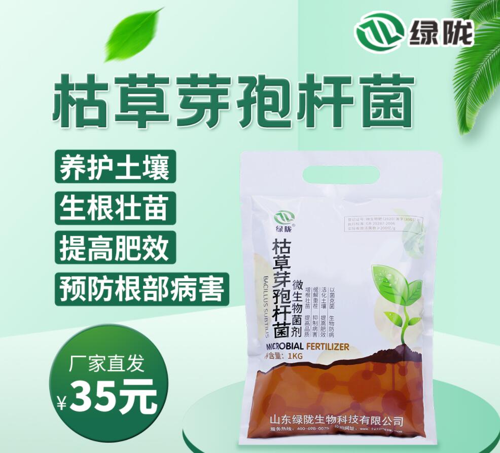 绿陇枯草芽孢杆菌枯草芽孢菌杆菌微生物菌剂益生菌固氮防病1000克