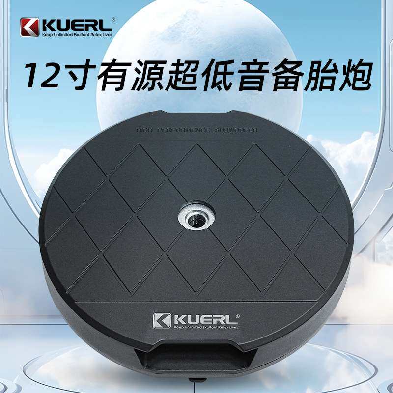 厂家 12寸车载音响改装有源大功率12V汽车音响备胎低音炮
